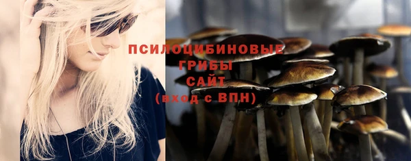 прущая мука Белокуриха