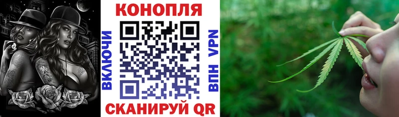 Марихуана гибрид Дагестанские Огни